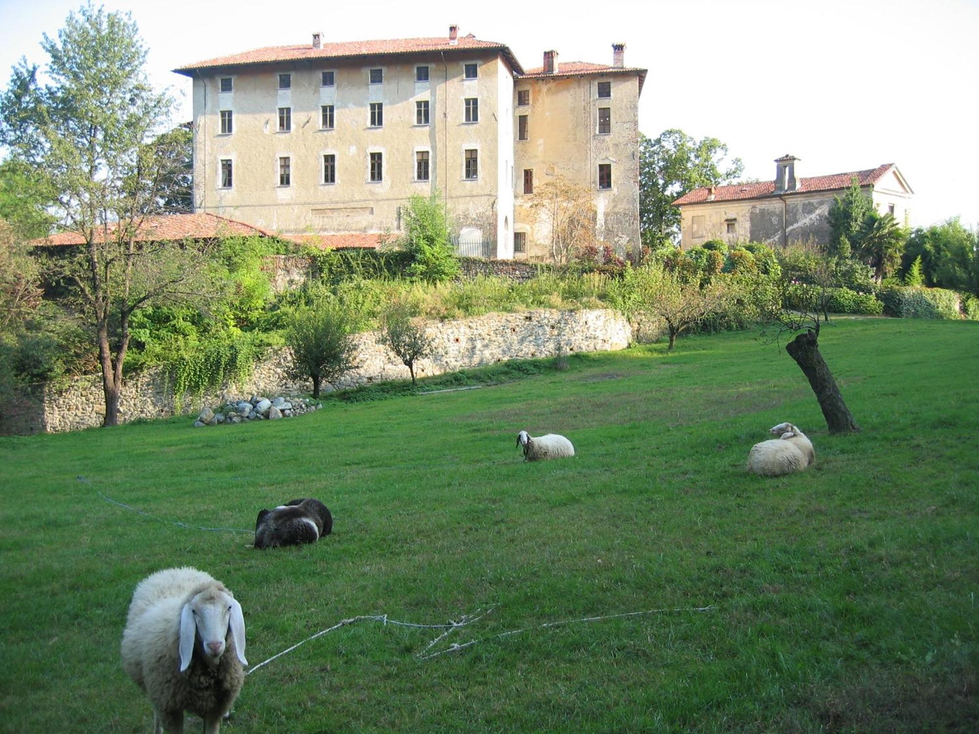 B&B Castello Di Camerletto Caselette Экстерьер фото